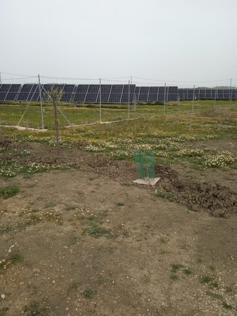 Opere di Mitigazione  per gli impianti Fotovoltaici